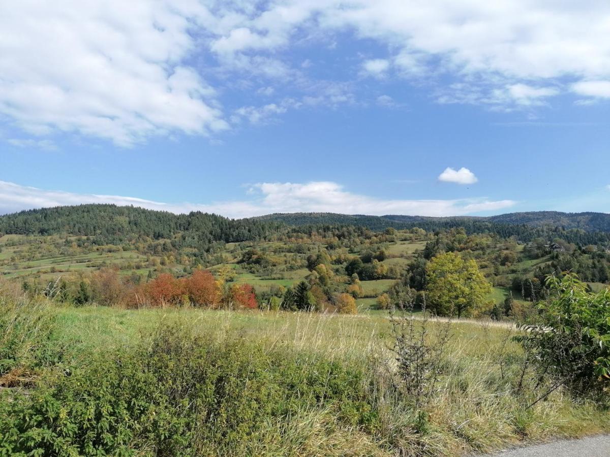 Domki na Widoku Lubomierz  Exterior foto
