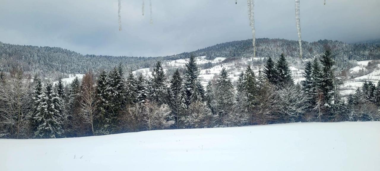 Domki na Widoku Lubomierz  Exterior foto