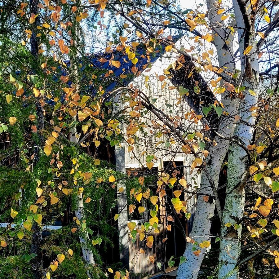 Domki na Widoku Lubomierz  Exterior foto